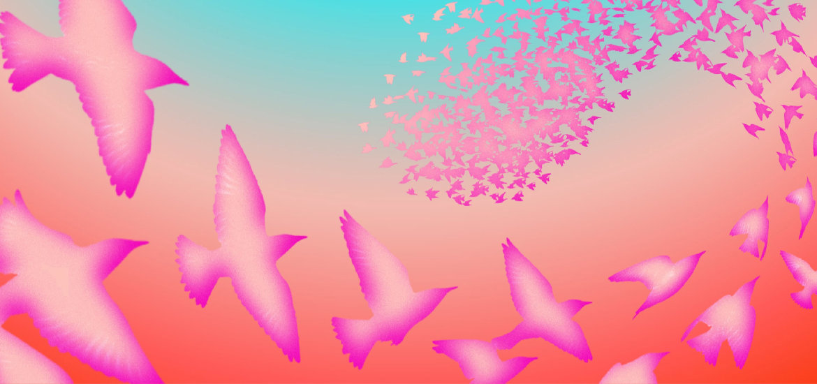 Natural History Museum